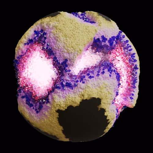 Asm Gen Ii Brains
