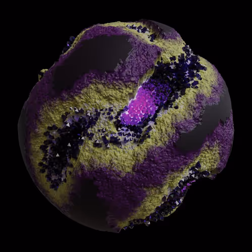 Asm Gen Ii Brains