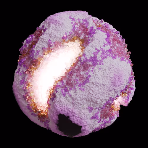 Asm Gen Ii Brains