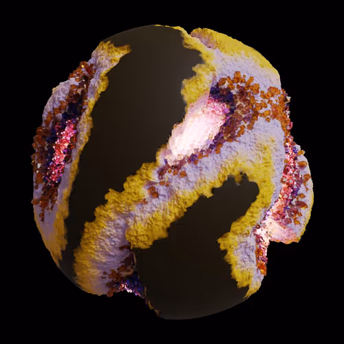 Asm Gen Ii Brains