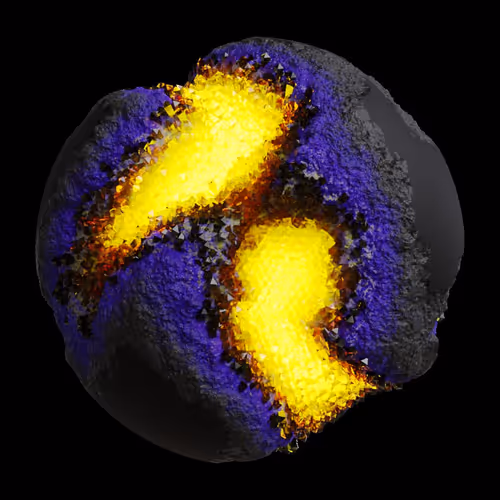 Asm Gen Ii Brains