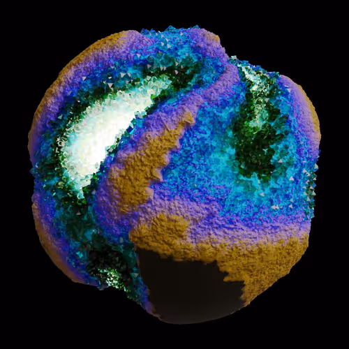 Asm Gen Ii Brains