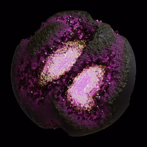 Asm Gen Ii Brains