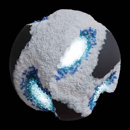 Asm Gen Ii Brains