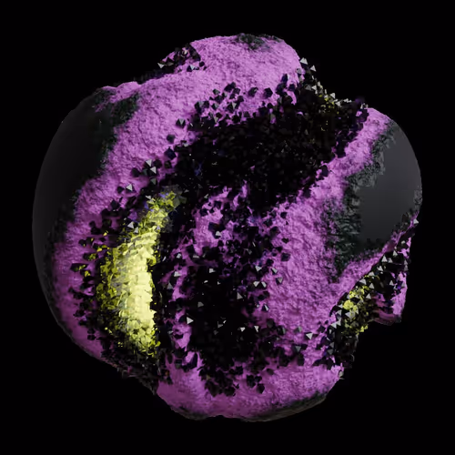 Asm Gen Ii Brains
