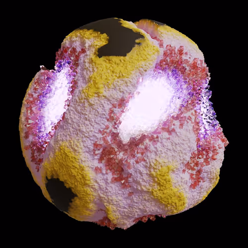 Asm Gen Ii Brains