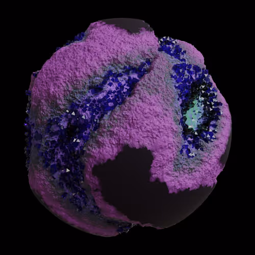 Asm Gen Ii Brains