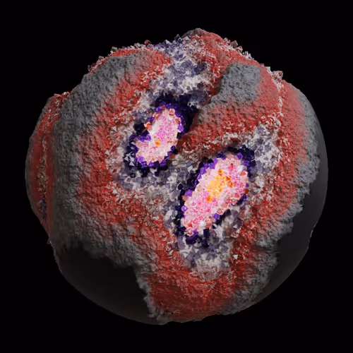 Asm Gen Ii Brains