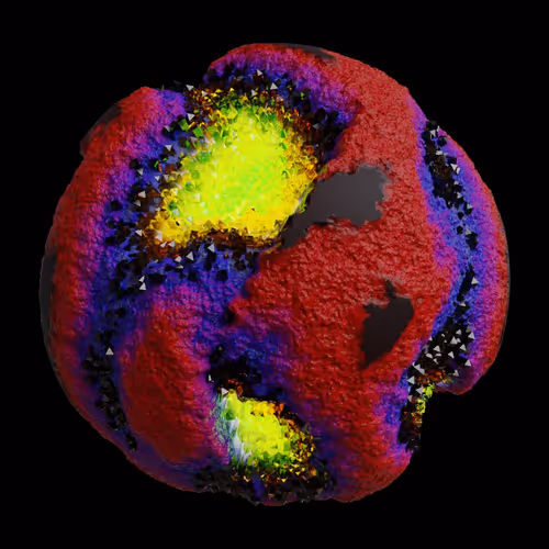Asm Gen Ii Brains