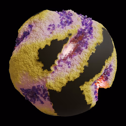 Asm Gen Ii Brains