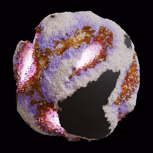 Asm Gen Ii Brains