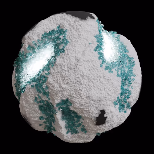 Asm Gen Ii Brains