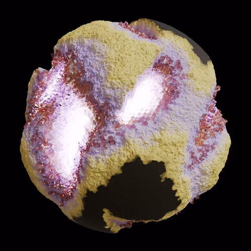 Asm Gen Ii Brains