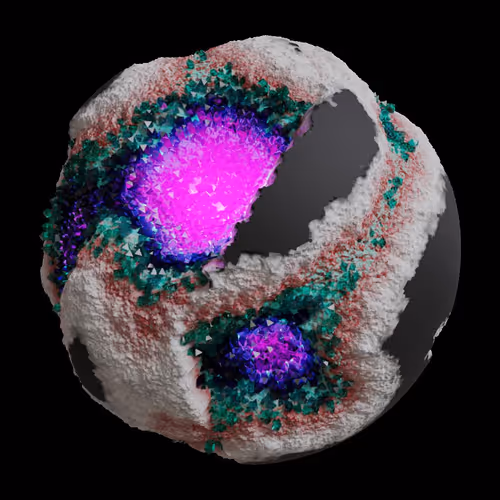 Asm Gen Ii Brains