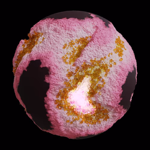 Asm Gen Ii Brains