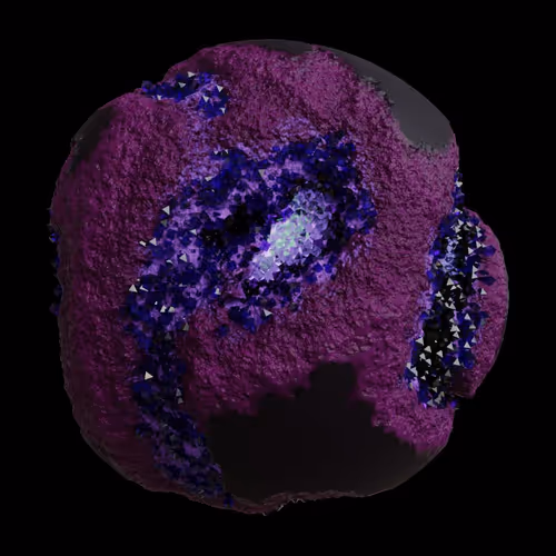 Asm Gen Ii Brains