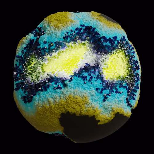 Asm Gen Ii Brains