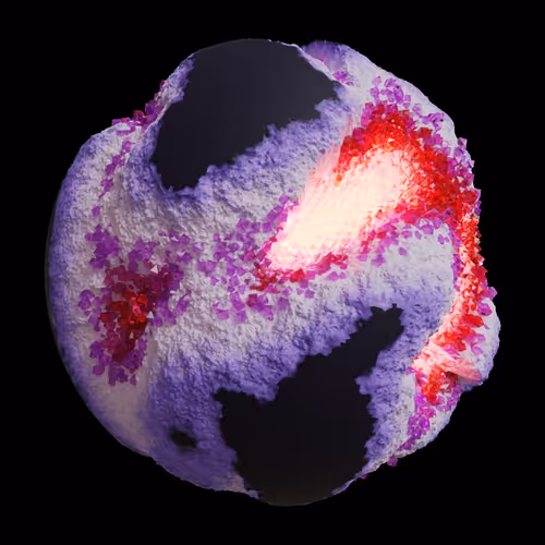 Asm Gen Ii Brains