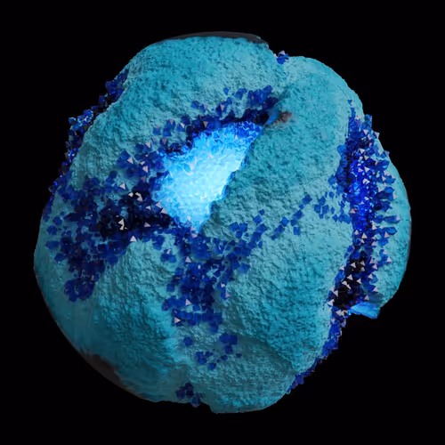 Asm Gen Ii Brains
