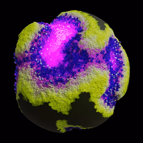 Asm Gen Ii Brains