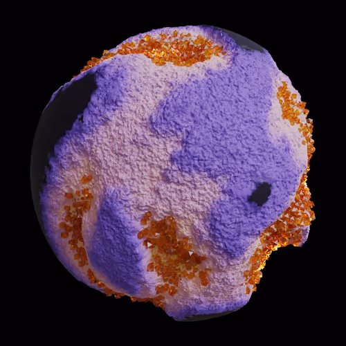 Asm Gen Ii Brains