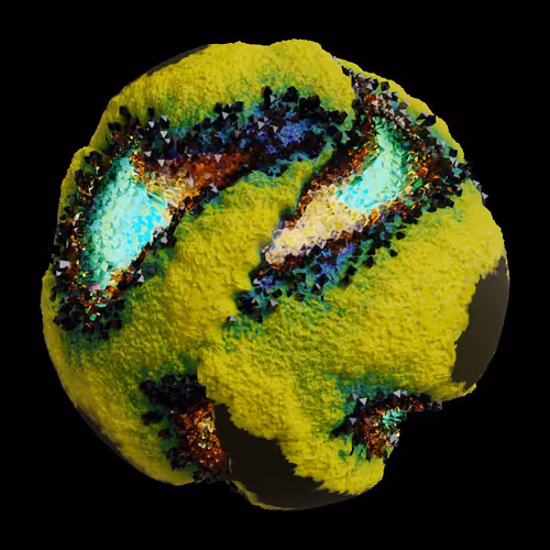Asm Gen Ii Brains