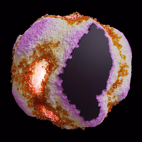 Asm Gen Ii Brains