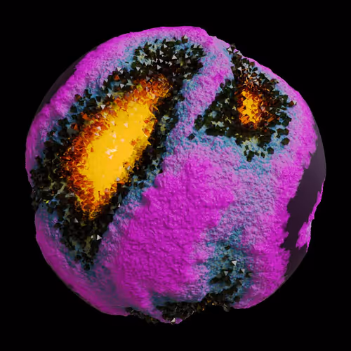 Asm Gen Ii Brains