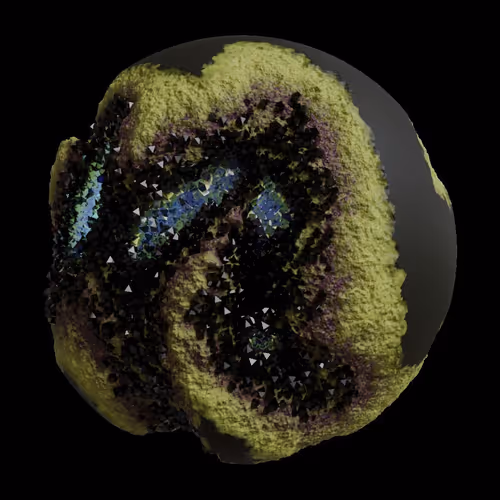 Asm Gen Ii Brains
