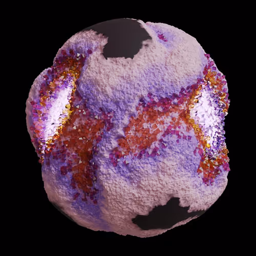 Asm Gen Ii Brains