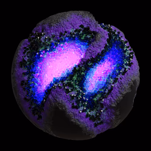 Asm Gen Ii Brains