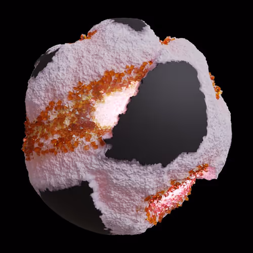 Asm Gen Ii Brains