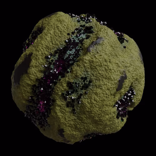 Asm Gen Ii Brains