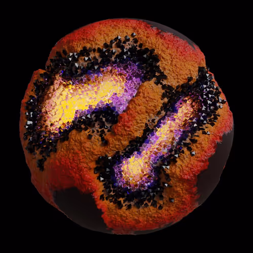Asm Gen Ii Brains