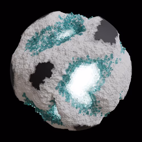 Asm Gen Ii Brains
