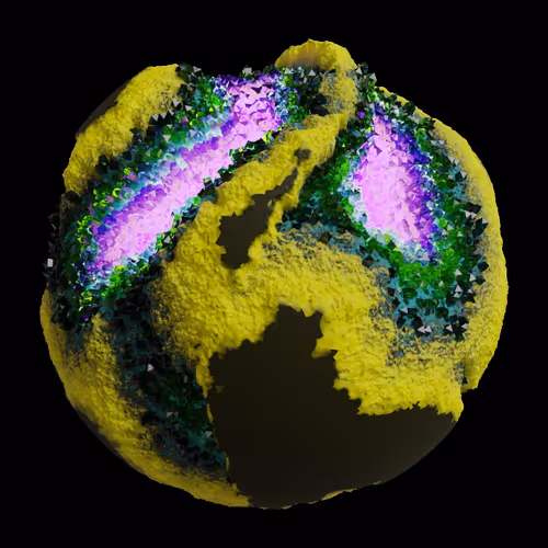 Asm Gen Ii Brains