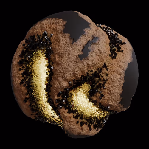 Asm Gen Ii Brains