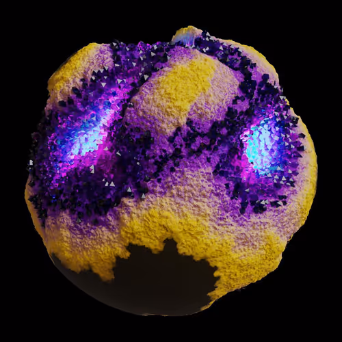 Asm Gen Ii Brains