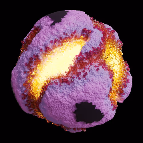 Asm Gen Ii Brains