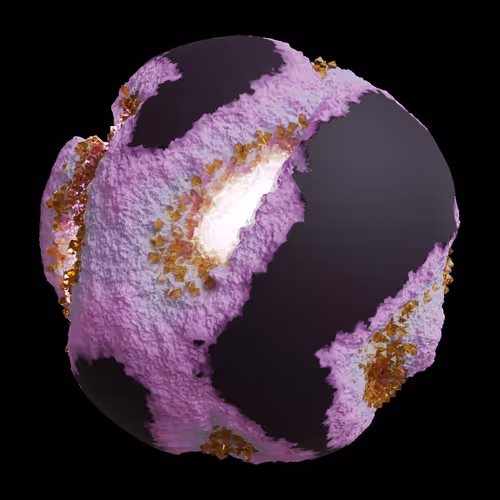 Asm Gen Ii Brains
