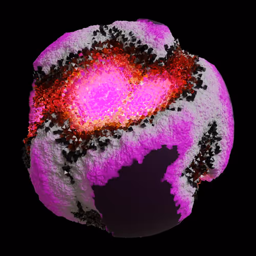 Asm Gen Ii Brains