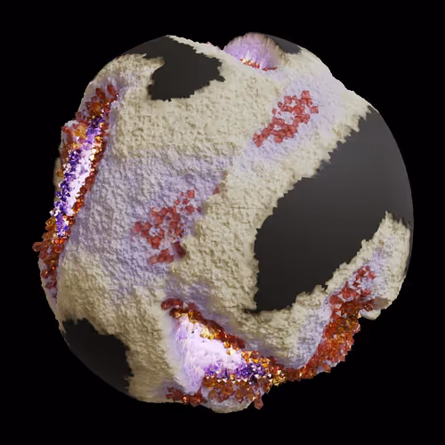 Asm Gen Ii Brains