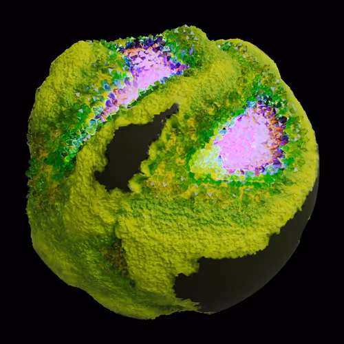 Asm Gen Ii Brains