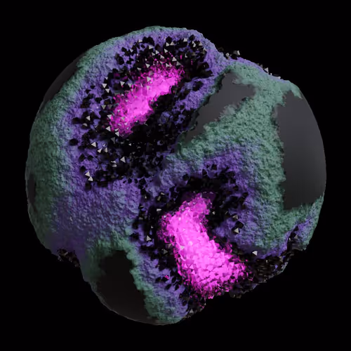 Asm Gen Ii Brains