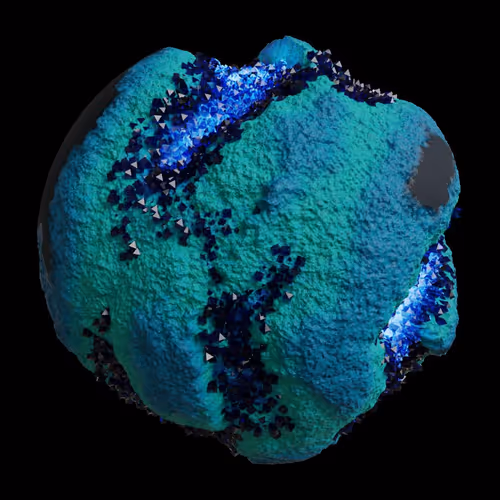 Asm Gen Ii Brains