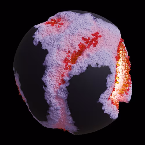 Asm Gen Ii Brains