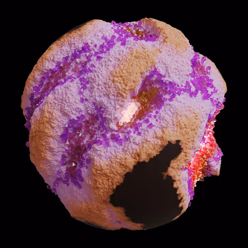 Asm Gen Ii Brains