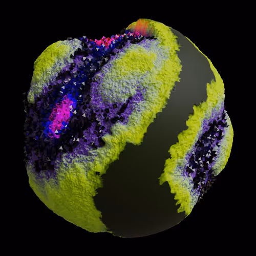 Asm Gen Ii Brains