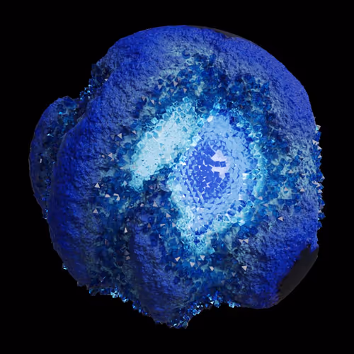 Asm Gen Ii Brains