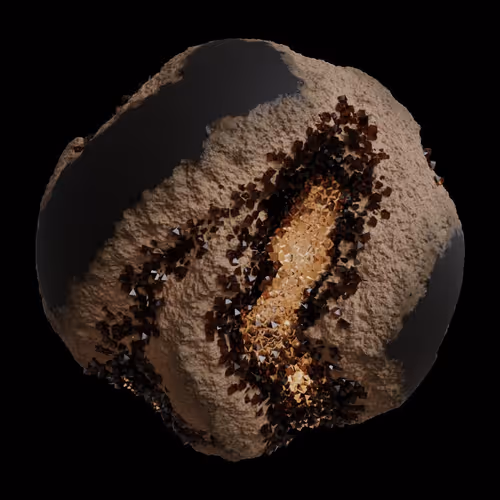 Asm Gen Ii Brains